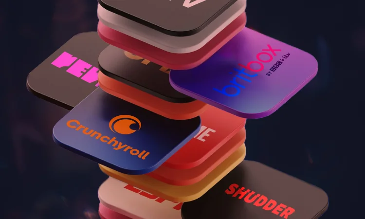 Rise of Niche Streaming Platforms